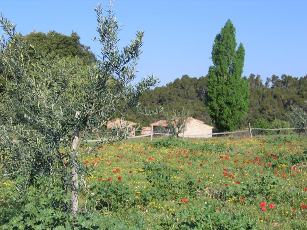 Gites De Fontroussiere Flayosc Экстерьер фото